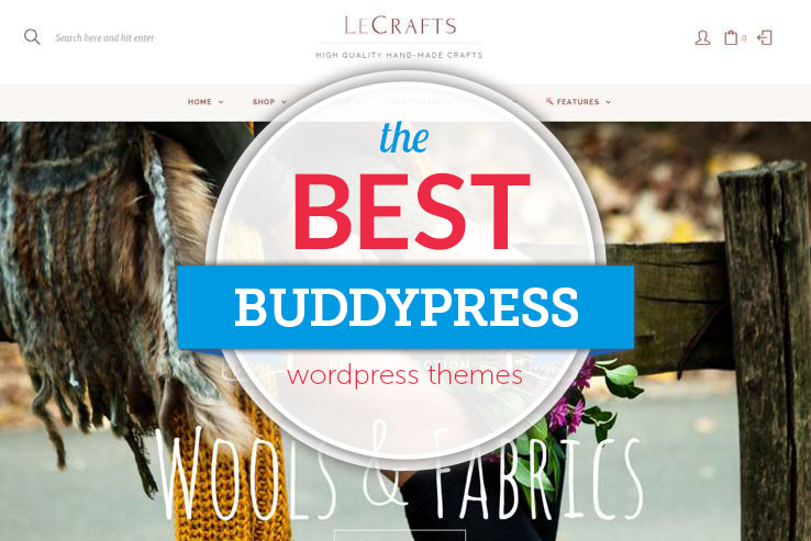 best buddypress wordpress themes