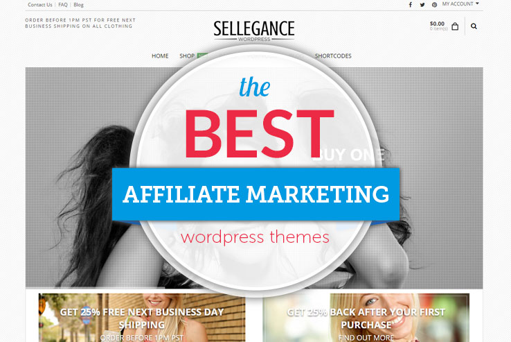 Affiliate Marketing WordPress Website Templates