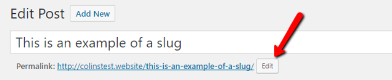 example of WordPress slug