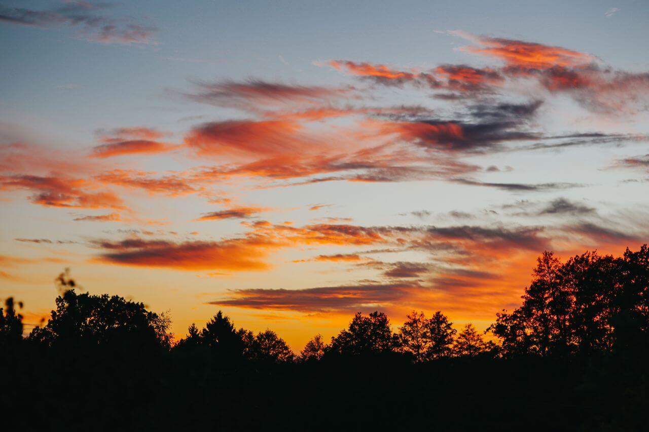 15 of the Very Best FREE Nature Backgrounds for Use on Your Website