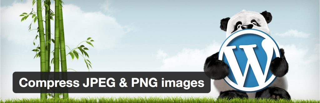 Compress your images with TinyPNG.