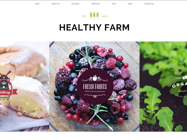 Healthy Farm