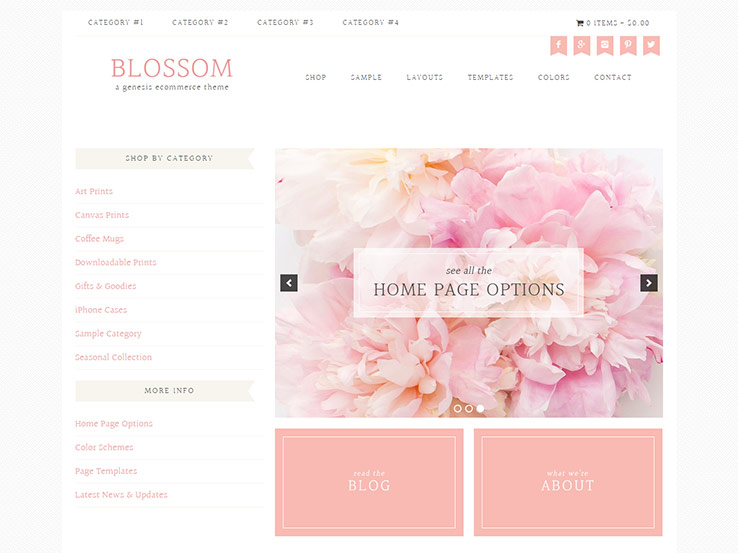 75+ Beautiful And Feminine WordPress Themes 2017