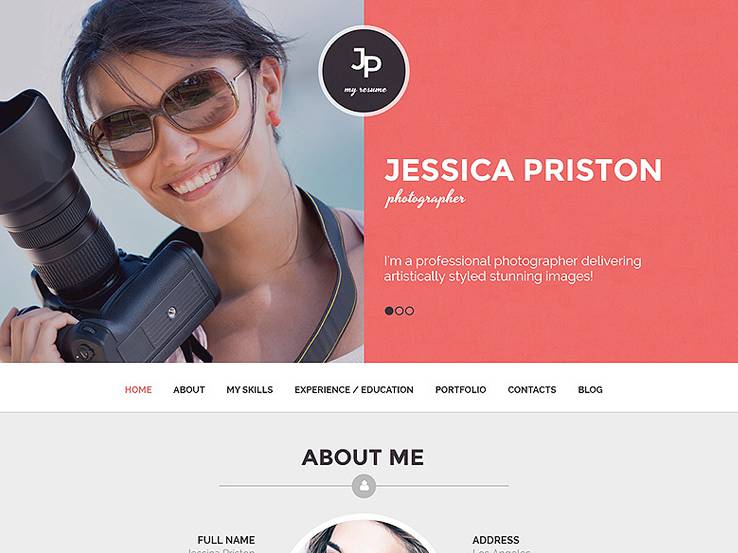 Professional resume wordpress theme