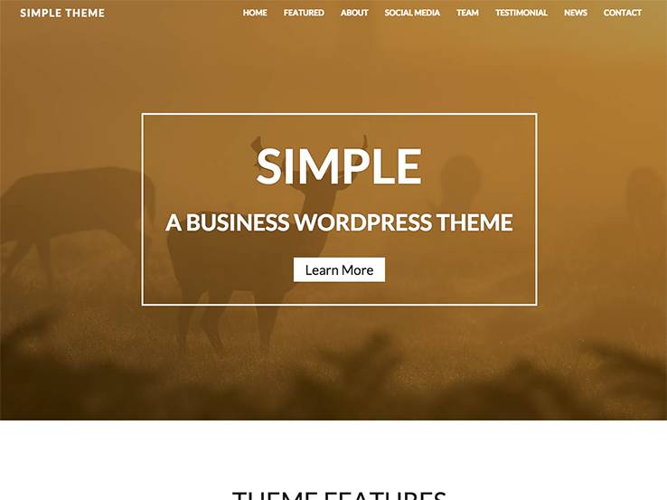 Simple Theme - One Page